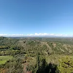 Il Grifo