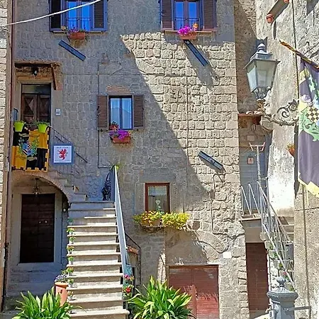Il Grifo