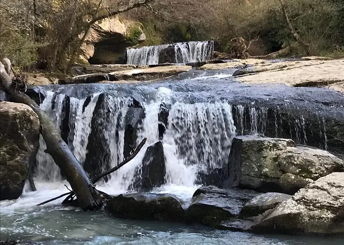 Il Grifo Bed and Breakfast Bomarzo