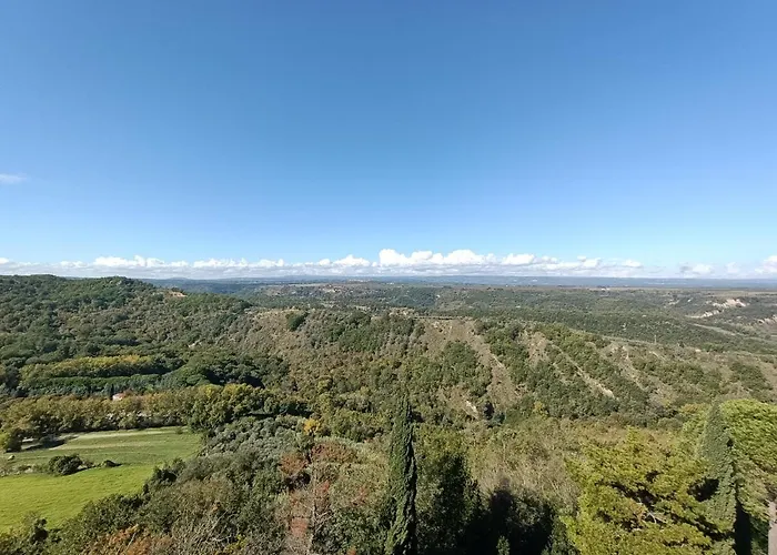 Il Grifo